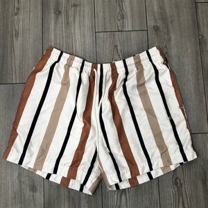 PacSun White Swim Trunks with Black, Broen, & Tan Stripes